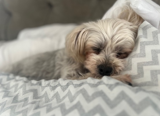 My Anxious Little Shadow.